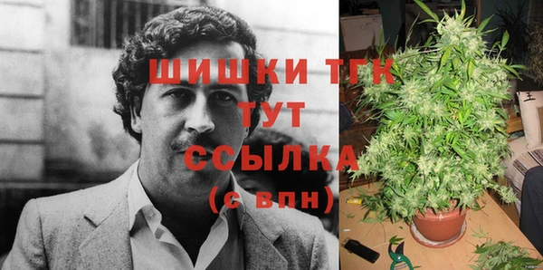 spice Алексин