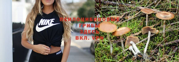 spice Алексин