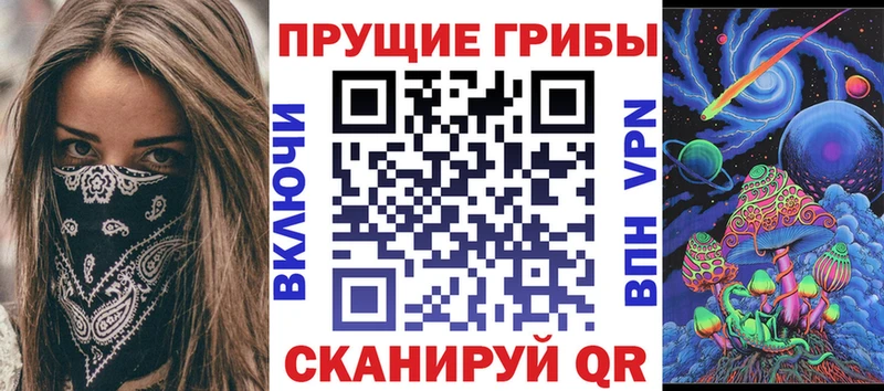 Галлюциногенные грибы Psilocybe omg tor Кондопога