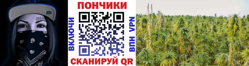 Конопля семена  цена   Кондопога 